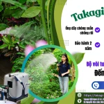 ban sao cua baner takagi