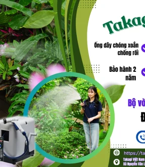 ban sao cua baner takagi